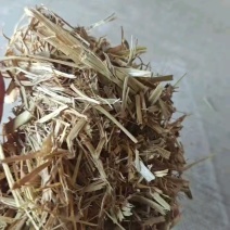 桃切段库房货，质量没问题随时装车