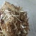 桃切段库房货，质量没问题随时装车
