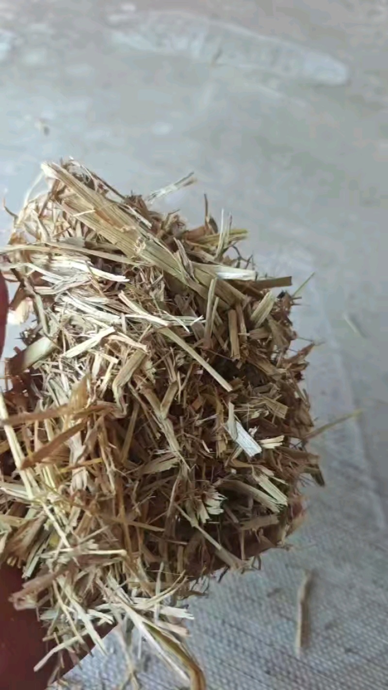 桃切段库房货，质量没问题随时装车