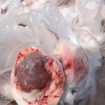 原油羊腰
