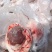 原油羊腰