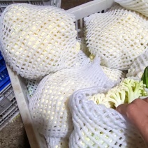 张家口精品有机花菜大量有货供应，青梗白面，全国发货