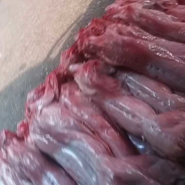 新鲜兔子免费剔骨