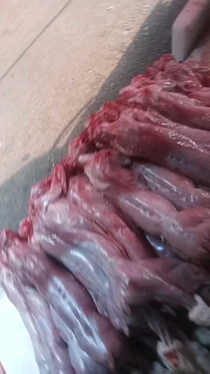 新鲜兔子免费剔骨