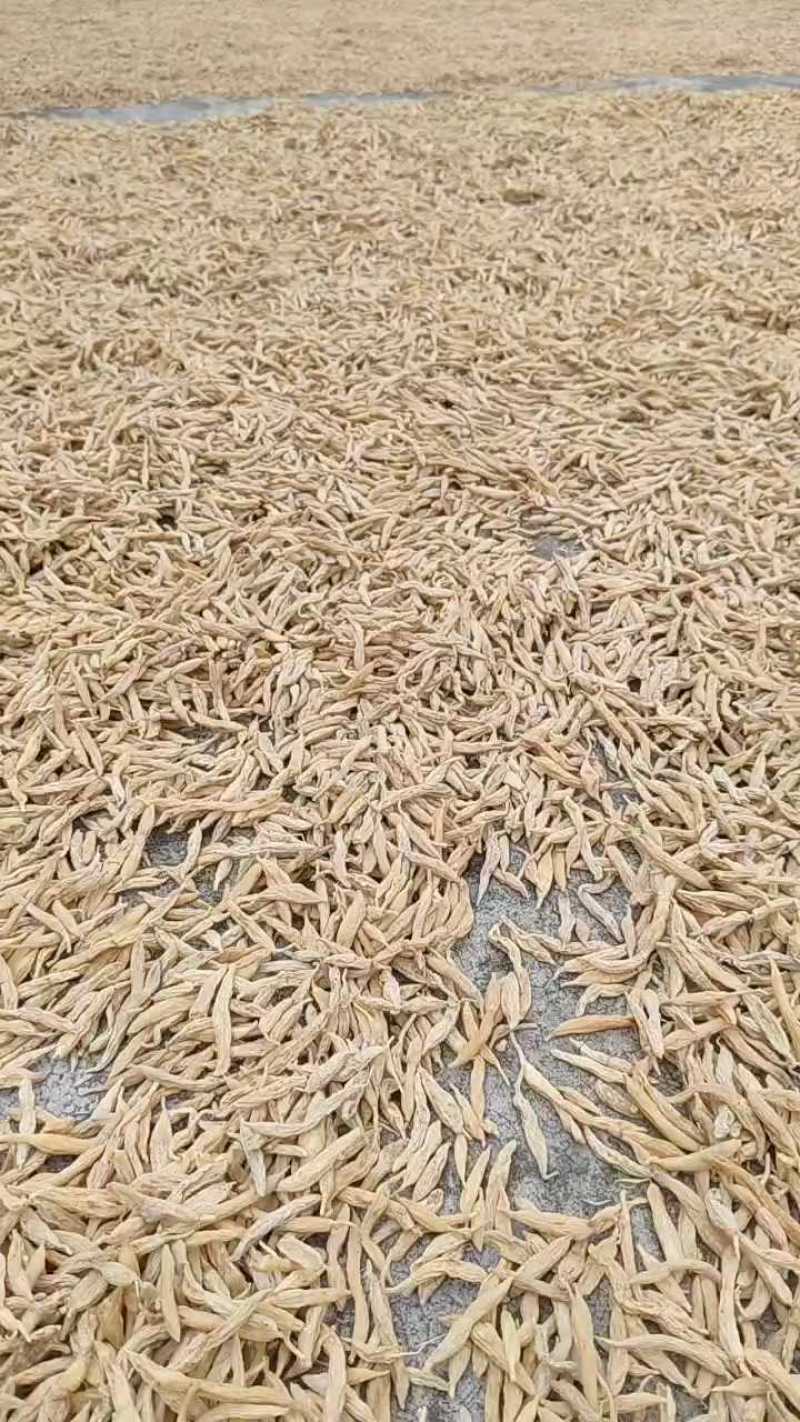 精选麦冬，香味浓郁，品质上乘
