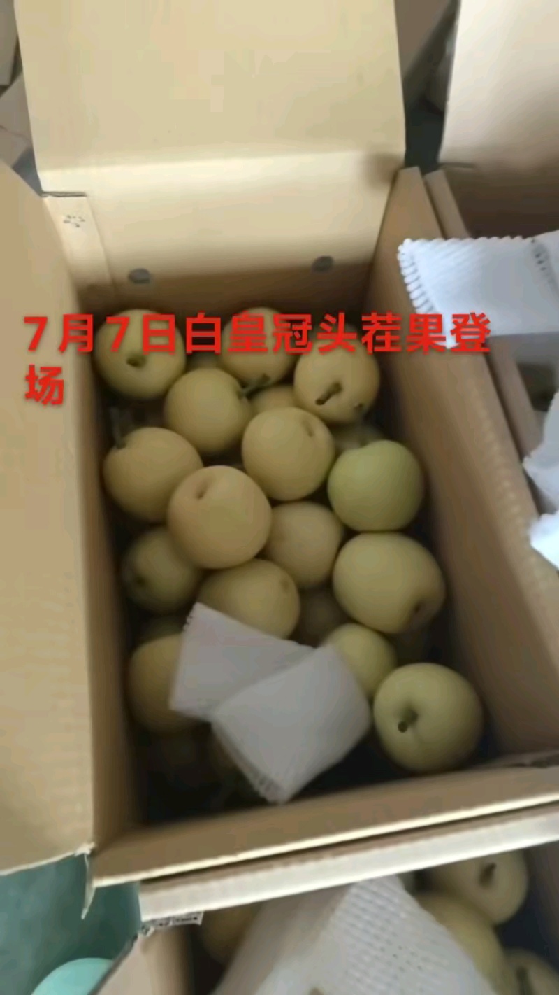 河北赵县皇冠梨脆甜多汁产地直达诚信经营量大从优