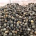 【银栗】河北精品银栗南瓜种植基地新鲜采摘粉糯香甜品质保障