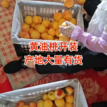 油桃，品相好，口感香甜，物美价廉