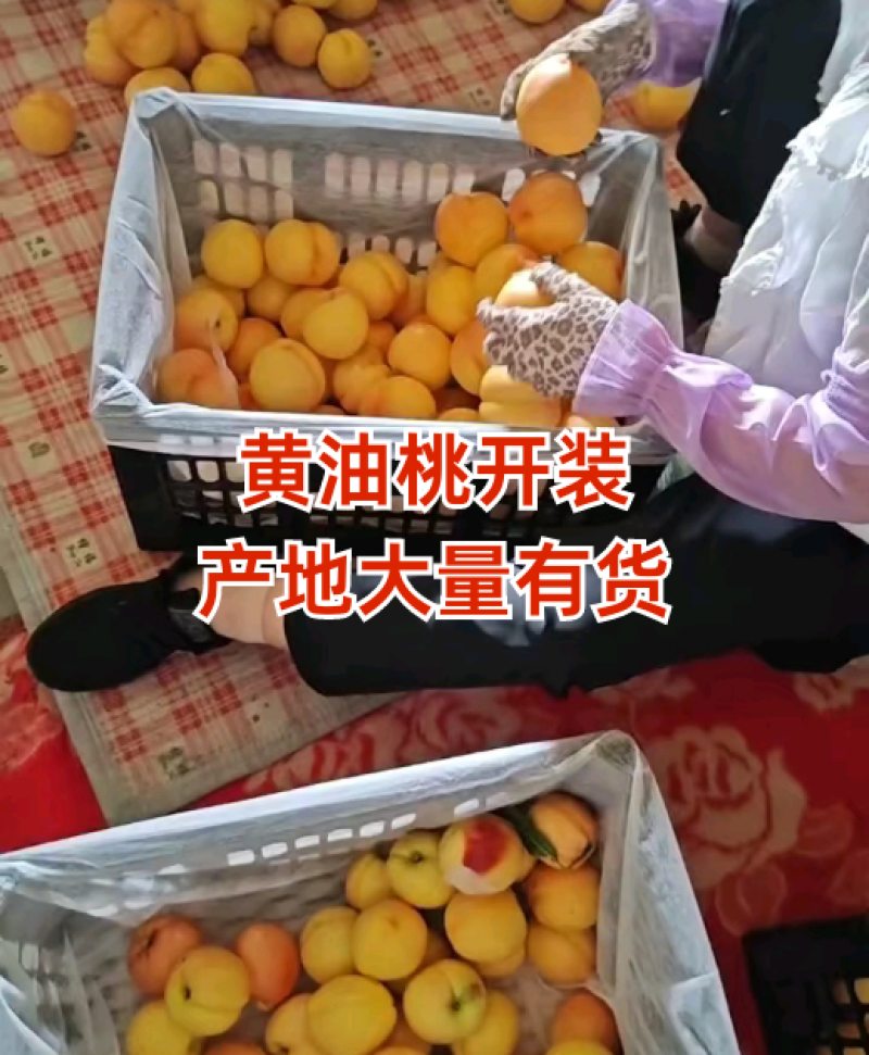 油桃，品相好，口感香甜，物美价廉
