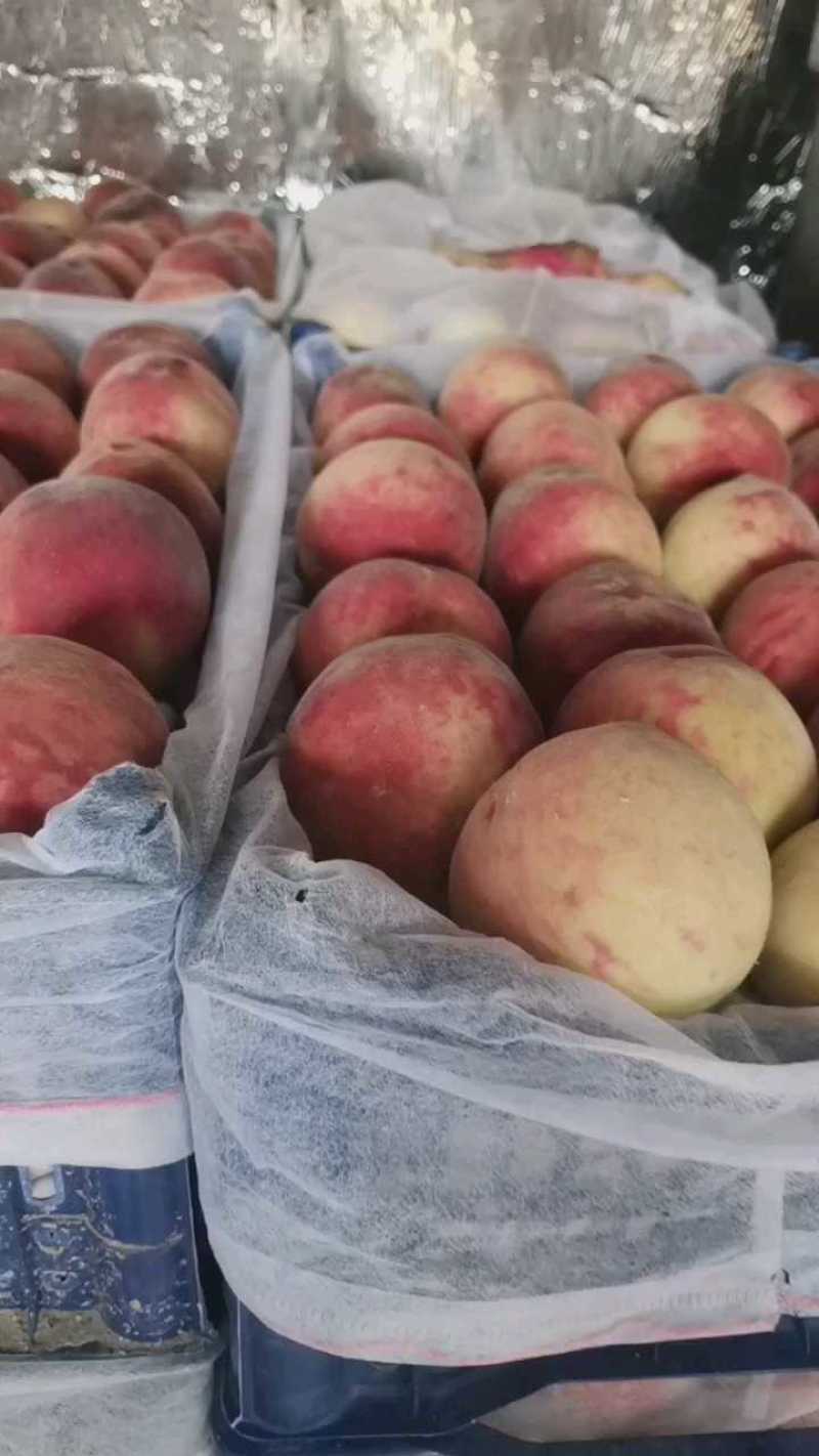 河北广宗红不软毛桃，三两半起，1块1