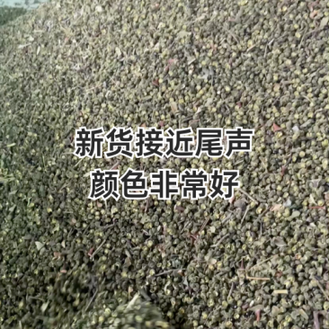 【自家基地直供】精品青花椒/鲜绿麻香/餐饮批发/新货上市