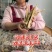 2026年笋干批发农家自制嫩小竹笋野干笋尖特级散装