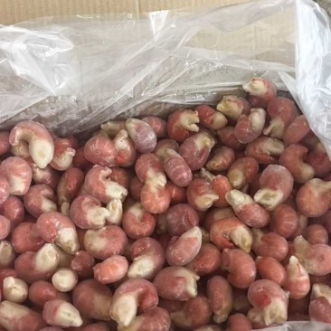 龙虾尾纯干无冰/包冰/各规格/可定制