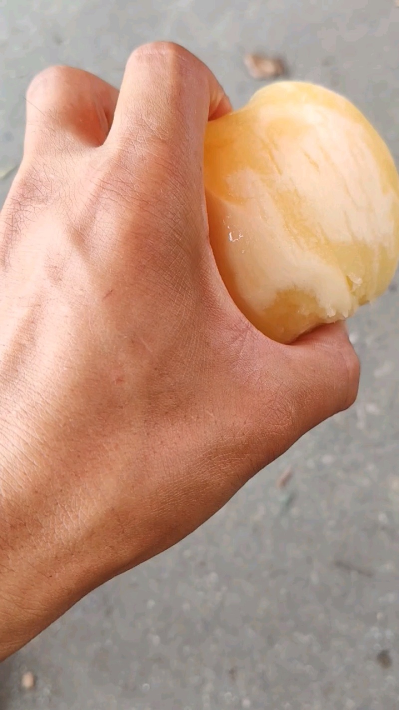 阳山水蜜桃，自产自销，自家果园，新鲜采摘，欢迎咨询