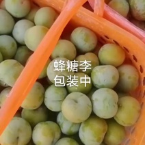 蜂糖李，脆李，产地直供，现摘现发口感脆甜多汁糖度高