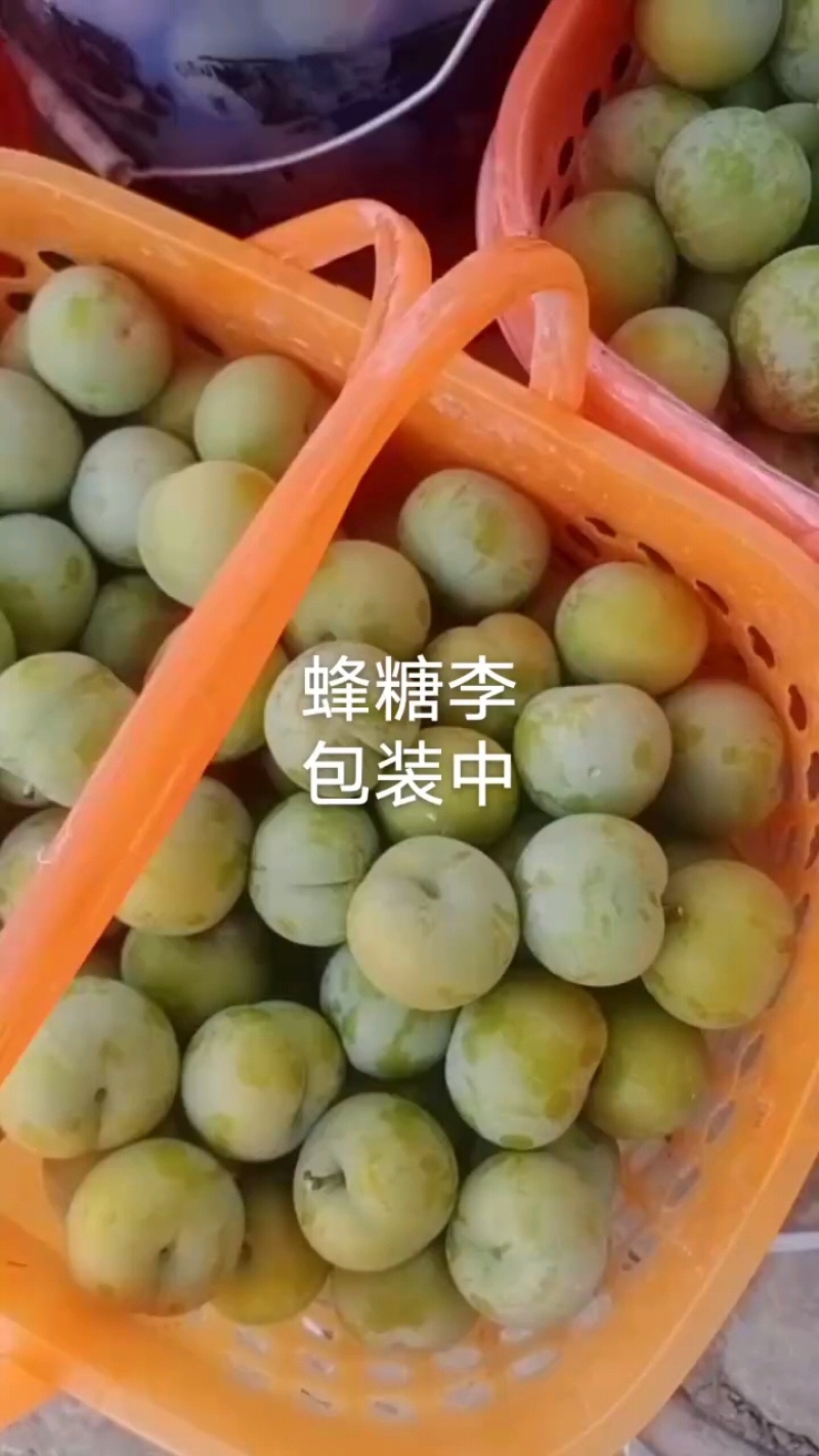 蜂糖李，脆李，产地直供，现摘现发口感脆甜多汁糖度高