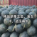 【新拳王】市场新宠，头茬上市，产地直供，货发全国！