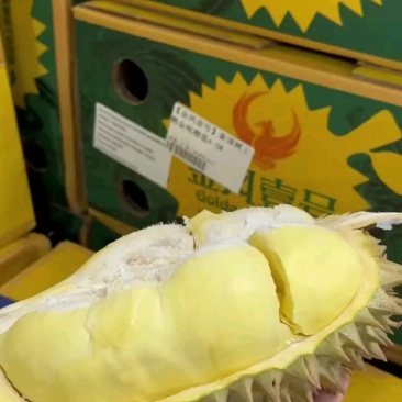 金凤一号树上熟，皮薄干包大黄肉