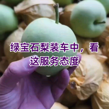 绿宝石梨《新梨》大量下树，一级果，二级货源，充足大量现货