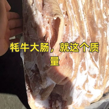 沸水大肠破开去油纯干品质
