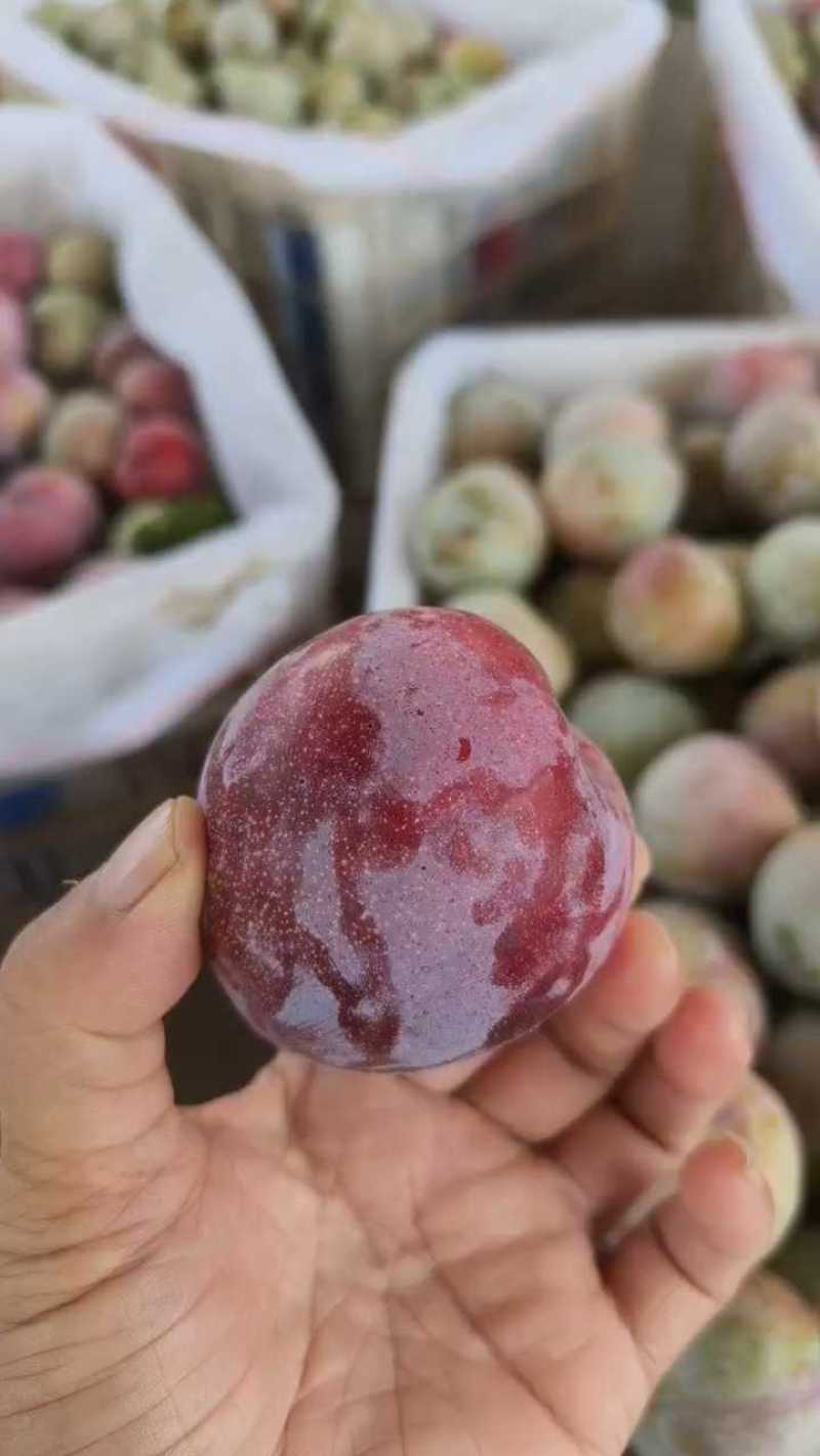 大芙蓉李子，秋季李子，小芙蓉李子大量上市走货进行中