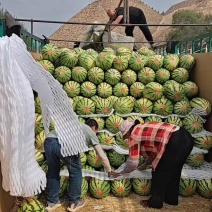 宁夏金花西瓜一手货源产地直销诚信经营一条龙