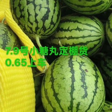 全美2k，2k小吊瓜，冰糖籽小糖丸手剥皮牛奶爆瓜一手货源