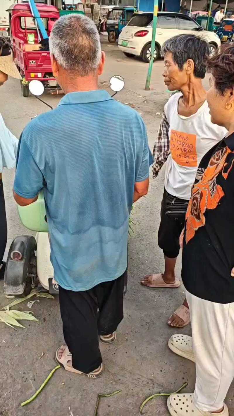 基地长豆角，货源充足，加工厂市场电商，加冰泡水，各种包装
