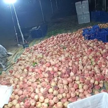 山东大红桃仓方早生大红桃半斤起步产地，现摘代收代发货全园
