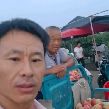 桃大红桃山东仓方早毛大红桃桃油盘桃子产地