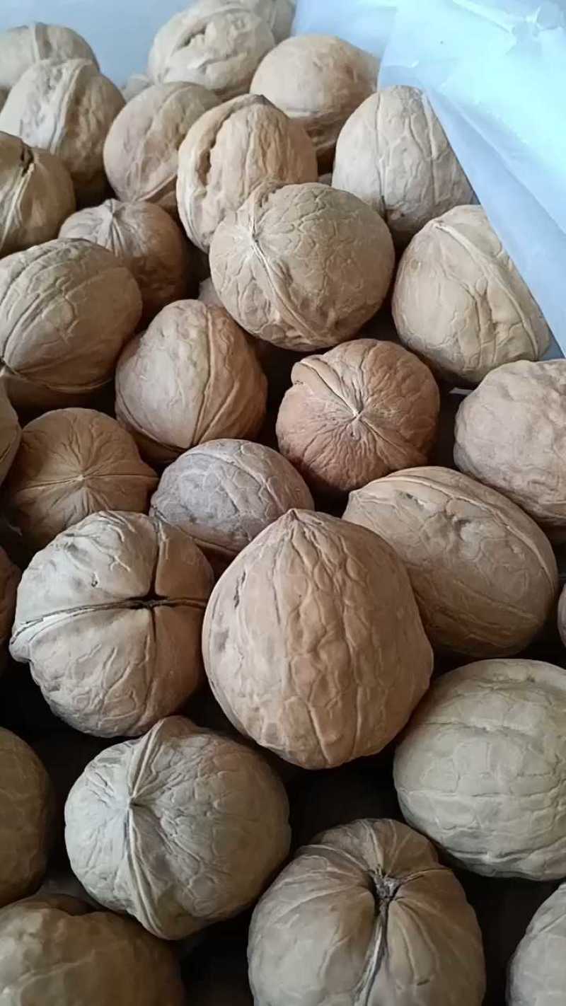 电商平台直供新疆薄皮核桃幸福33可贴牌定制2024新货