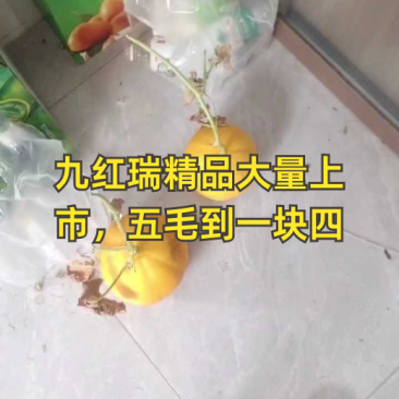 莘县久红瑞甜瓜现摘现发大产区货量大价格低运费低