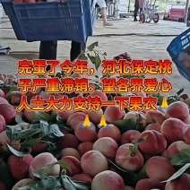 十块一筐桃，看这质量，赶紧要