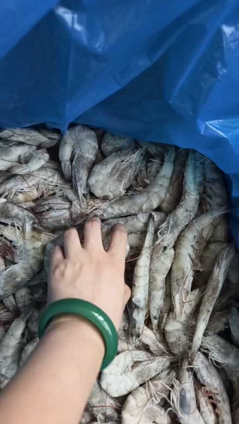 王牌大虾/盒装/盐冻/1.5kg*6盒/件