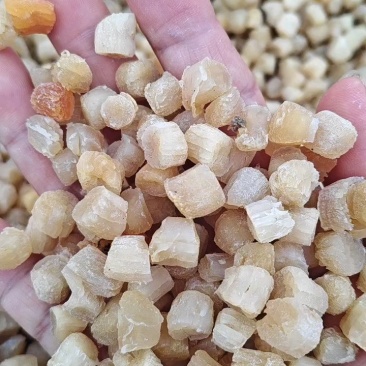 扇贝柱盐干淡干都有大量现货批发不包邮