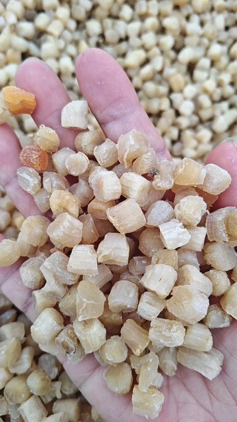 扇贝柱盐干淡干都有大量现货批发不包邮