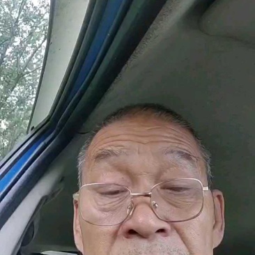 辽宁新民甜王，两毛一斤，量大甜度高