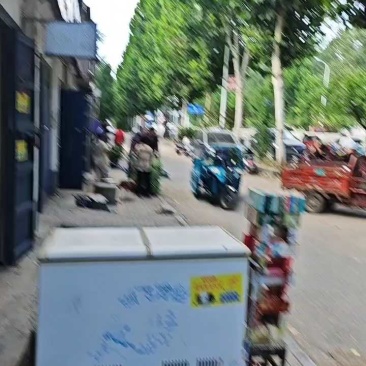 内黄长豆角60公分打好捆条形直承接批发加工社区团购直播