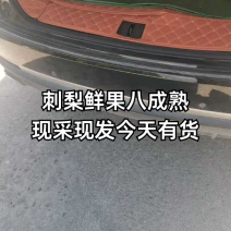 刺梨鲜果现采现发2026新货采收期基地直供