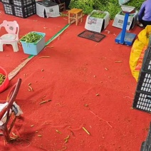 架豆王豆角四季豆无筋豆产地看货论价欢迎订购