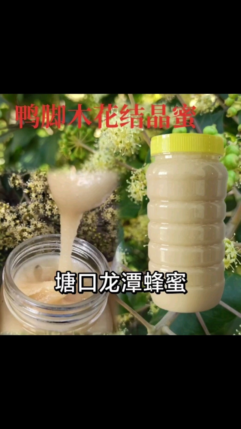 鸭脚冬蜜/广东阳江产区直发/货源充足/大量有货