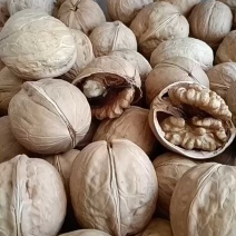 电商平台直供新疆薄皮核桃幸福33可贴牌定制2024新货