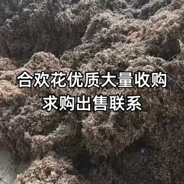 合欢花