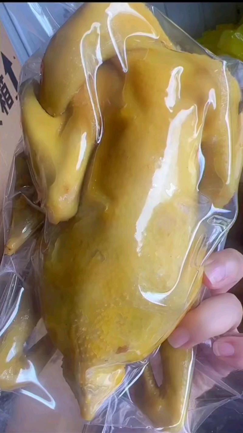 五指毛桃盐焗鸡地摊电商批发盐焗鸡摆摊卤味熟食全熟盐焗鸡
