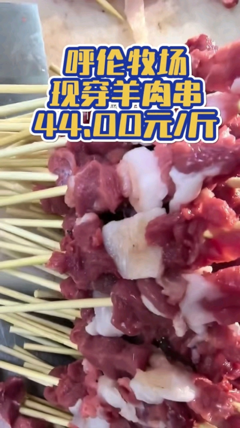 羊肉串呼伦贝尔源头工厂配送全国烧烤门店私域团长一件代发