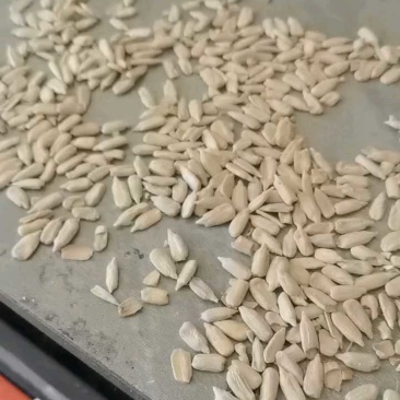 巴彦淖尔花魁仁，50斤包装，价格不高