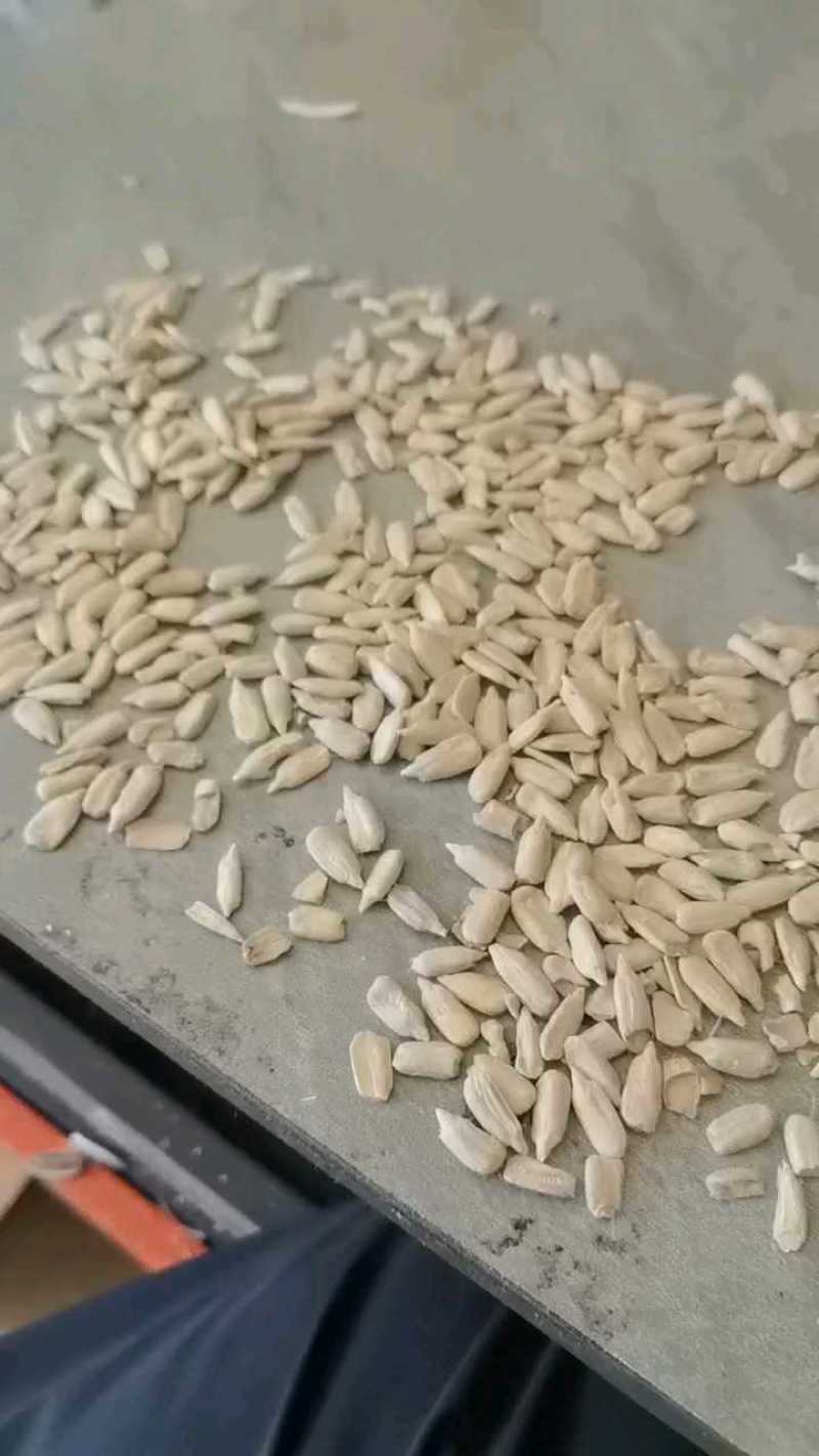 巴彦淖尔花魁仁，50斤包装，价格不高