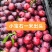 李子五月脆蜂糖李清脆李八宝丹小宝石产地热卖中