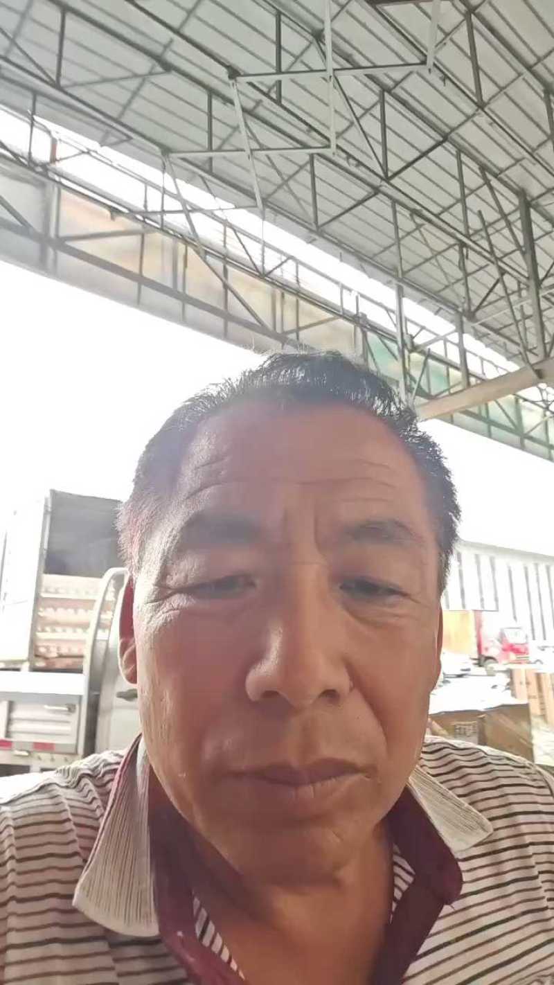 纯红薯粉面，假一赔十，安徽阜阳纯红薯粉面加工厂
