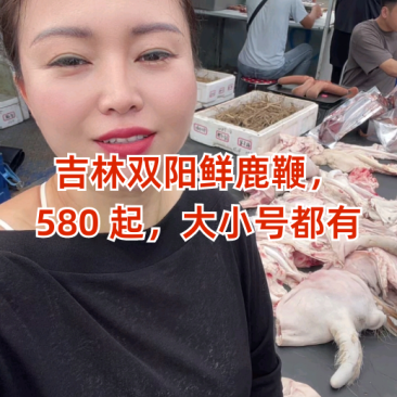 【鹿鞭】鲜鹿鞭成年壮鹿带睾丸整根整个正品保证男士泡酒